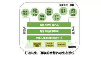 中国健康养老产业5年全景报告 养老服务业变迁图景和产业发展逻辑 下