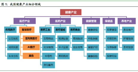 远 · 见 | 医疗“智慧化”,未来医疗的必由之路--健康产业投资机会