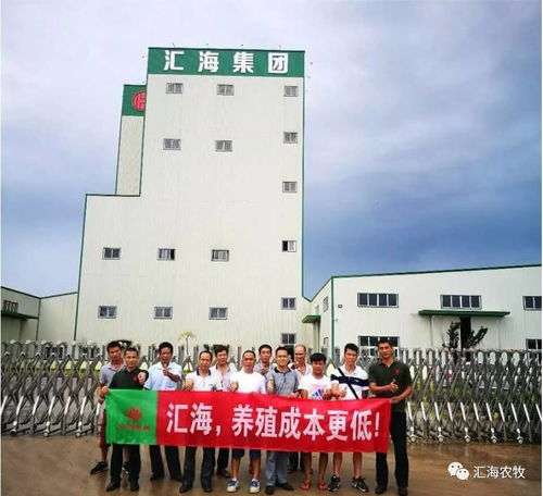 汇海速度 阳江汇海无抗环保型高端膨化水产料二期工程正式动工