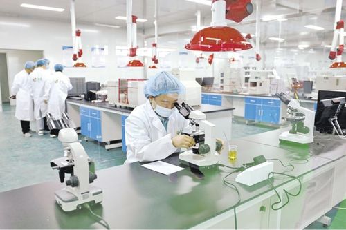 牢记嘱托 勇担使命 奋力谱写中国式现代化宁夏篇章 红宝出塞 健 天下