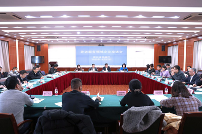 省民政厅召开养老产业座谈会