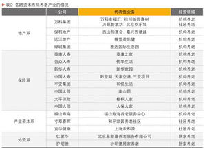 险资布局养老产业现状研究与发展建议