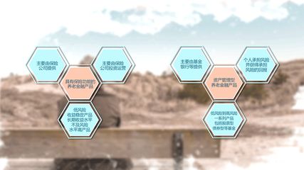 养老保险投资型产品分类