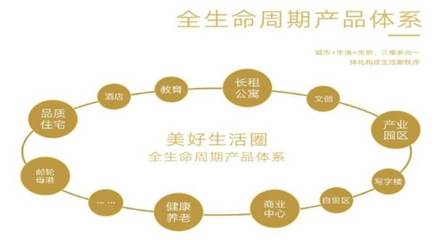 相比硅谷,深圳更能代表未来城市的发展趋势【深度】